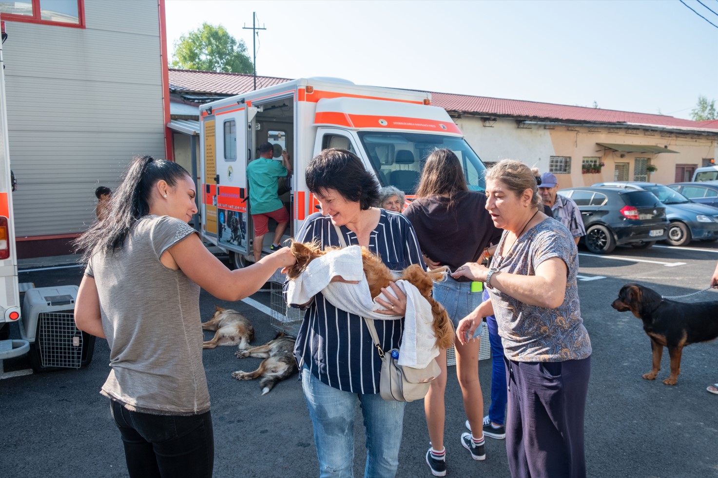 Happy pet owners receive their animals during a neutering campaign in the Smeura neutering mobile - Tierhilfe Hoffnung