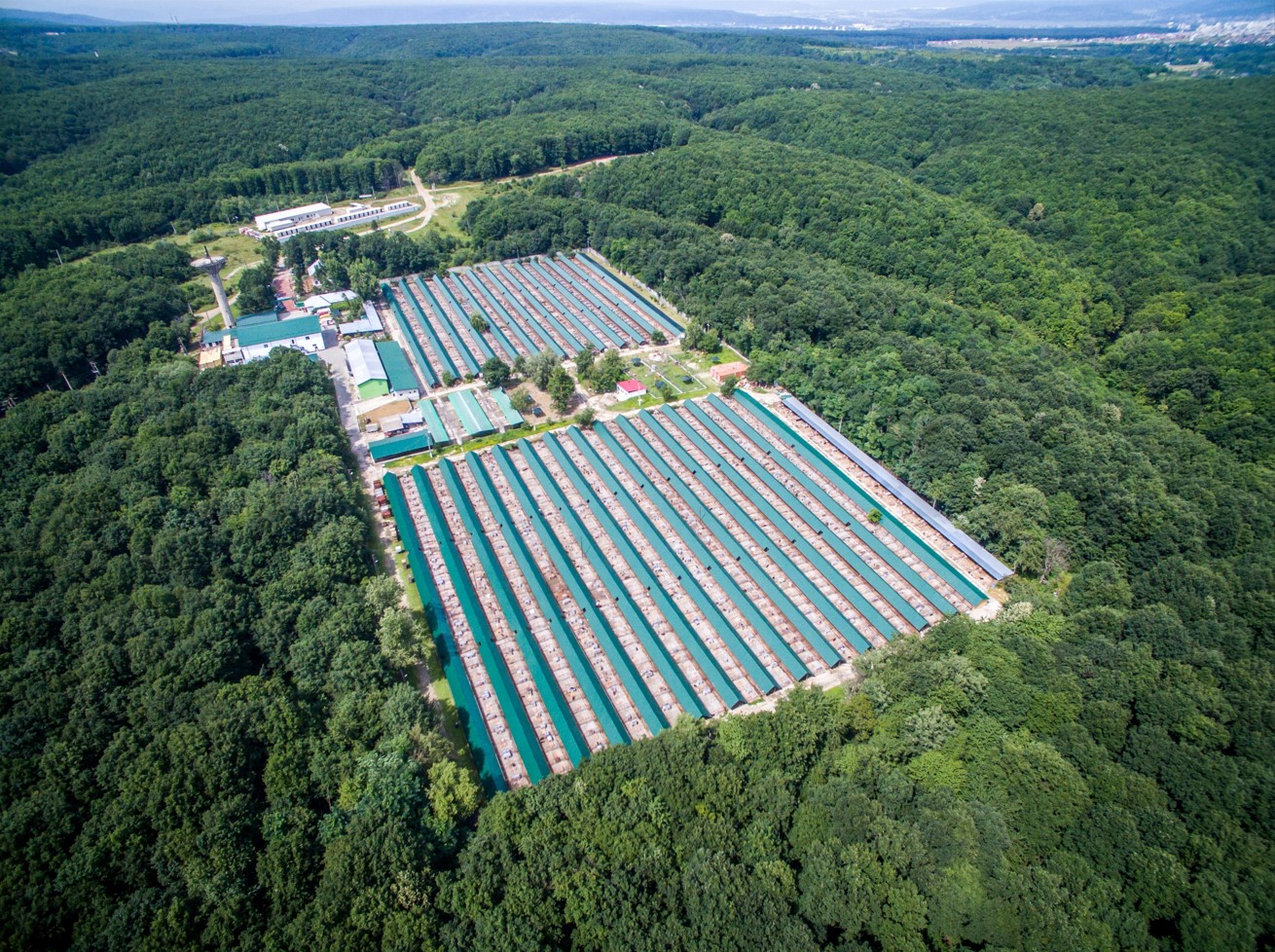 Aerial view of the Smeura animal sanctuary run by Tierhilfe Hoffnung in Romania, Pitesti